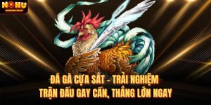 Đá Gà Cựa Sắt