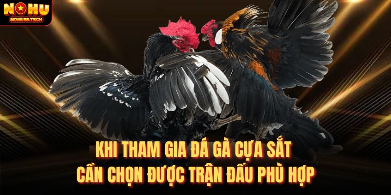 Khi tham gia đá gà cựa sắt cần chọn được trận đấu phù hợp