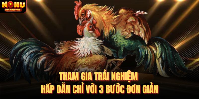 Tham gia trải nghiệm đá gà cựa sắt với 3 bước đơn giản