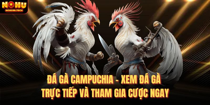 đá gà campuchia