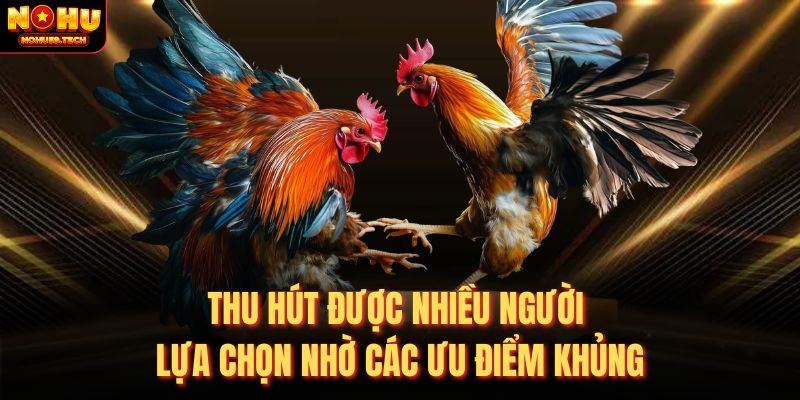 Thu hút được nhiều người lựa chọn nhờ các ưu điểm khủng